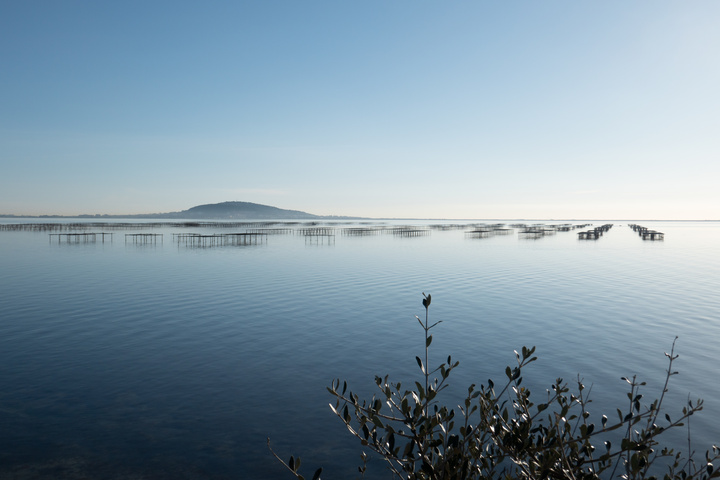 orthodontiste-poussan